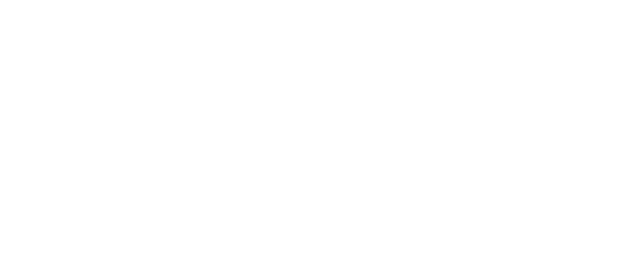 PlaniTrack Logo